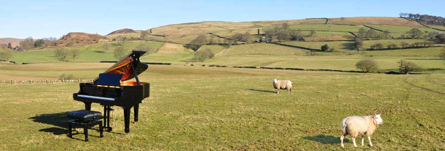 cavsheepstrip